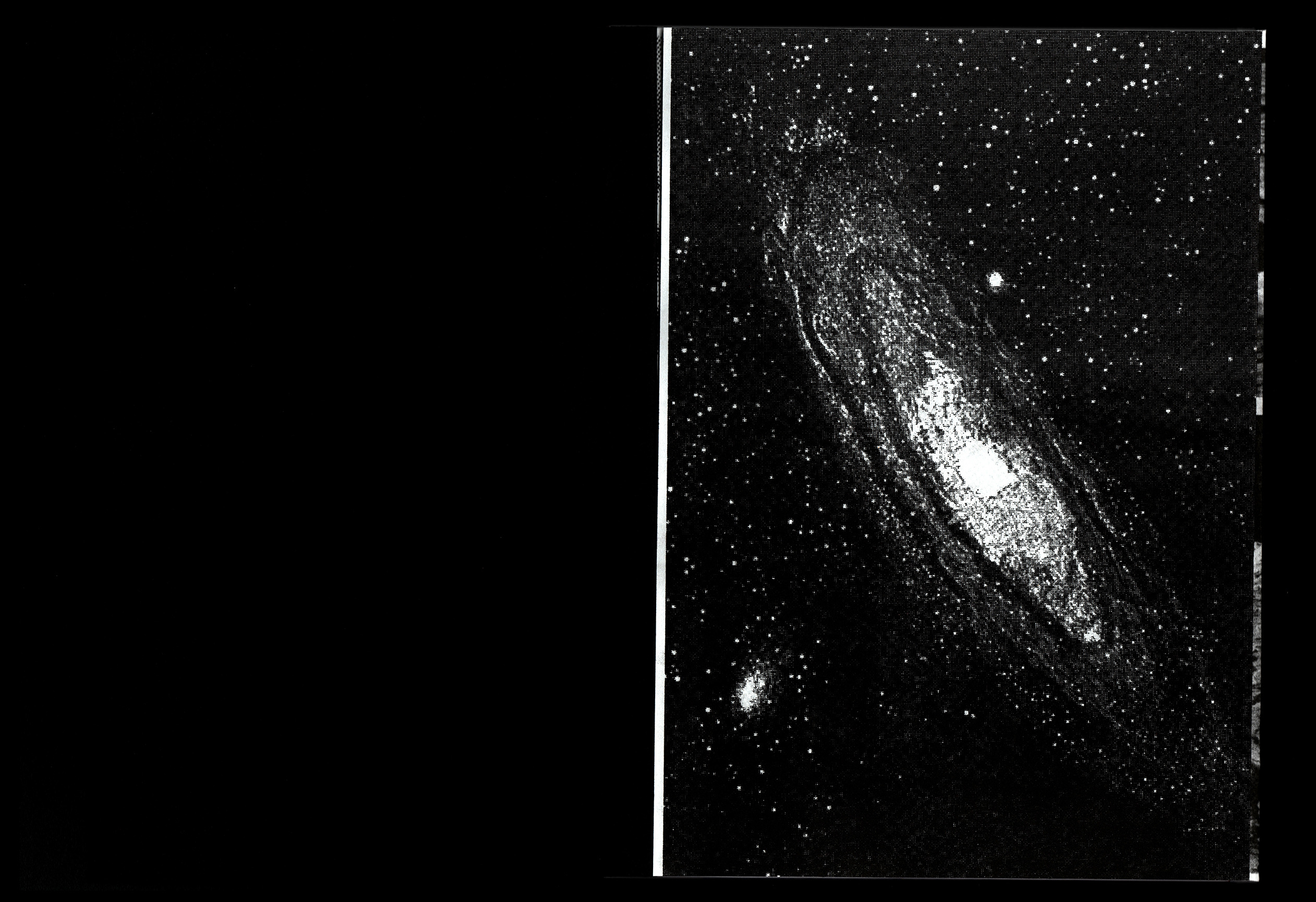 Survivor Library