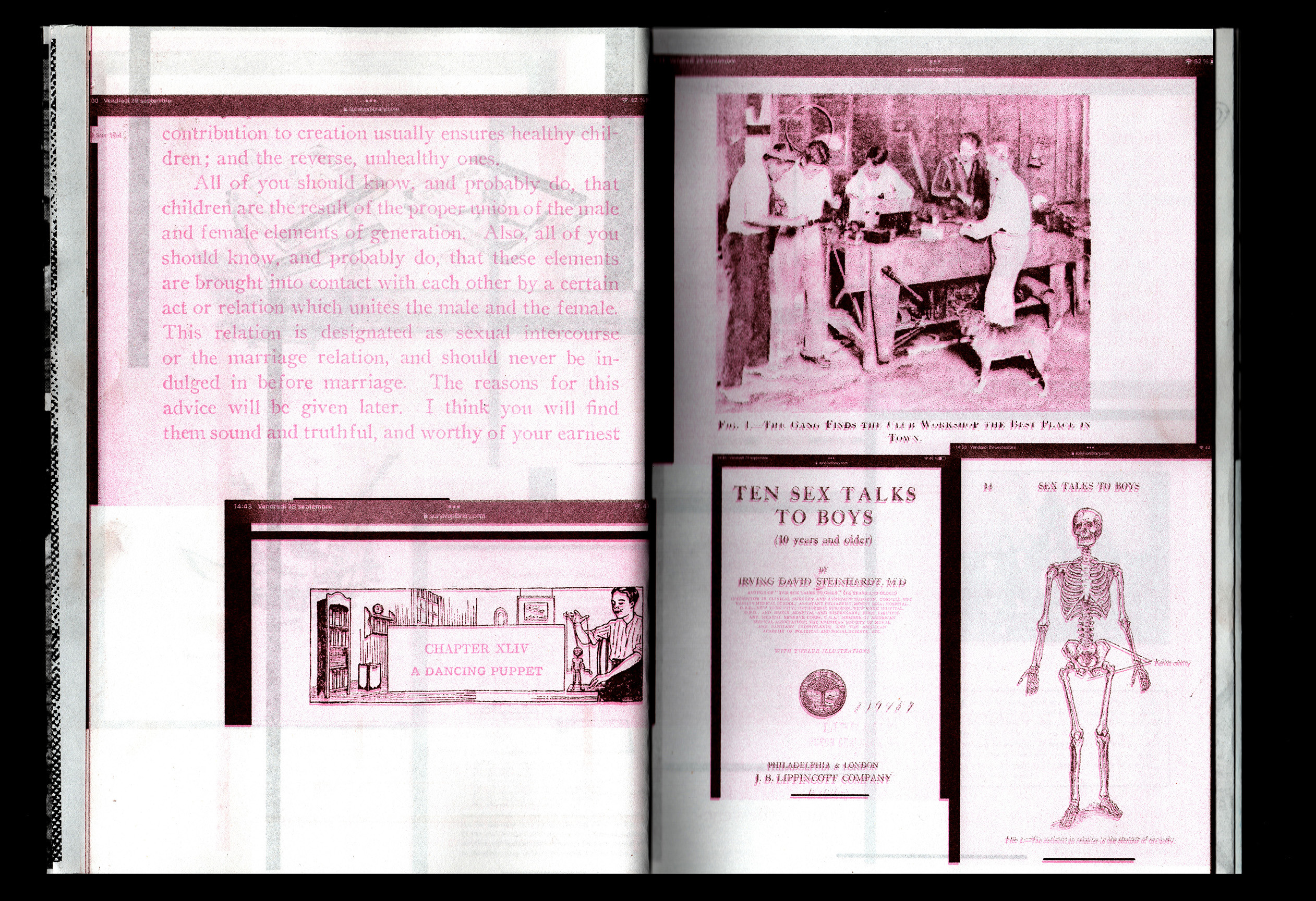 Survivor Library