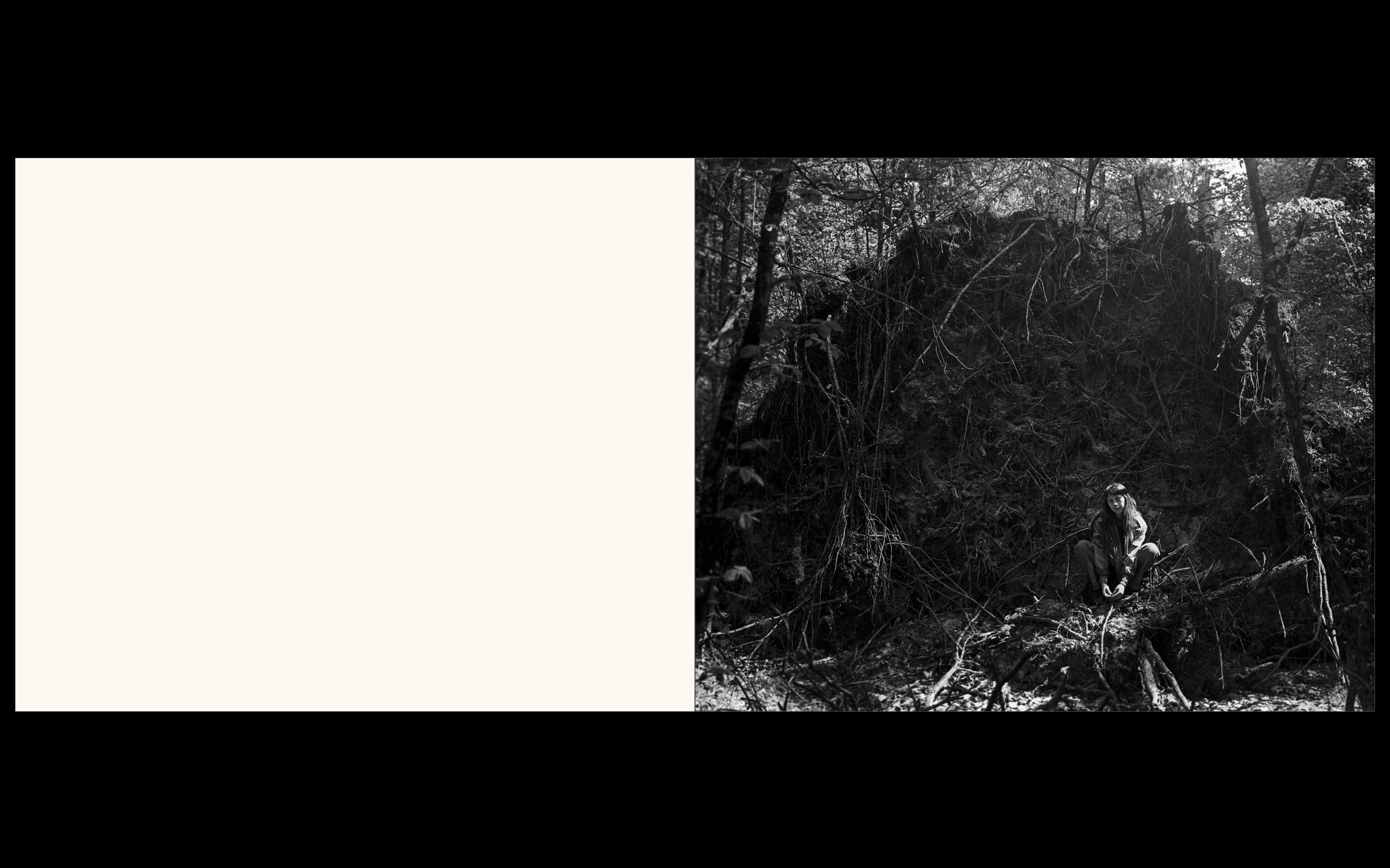 Białowieża, la forêt vivante de Simona Kossak & Lech Wilczek