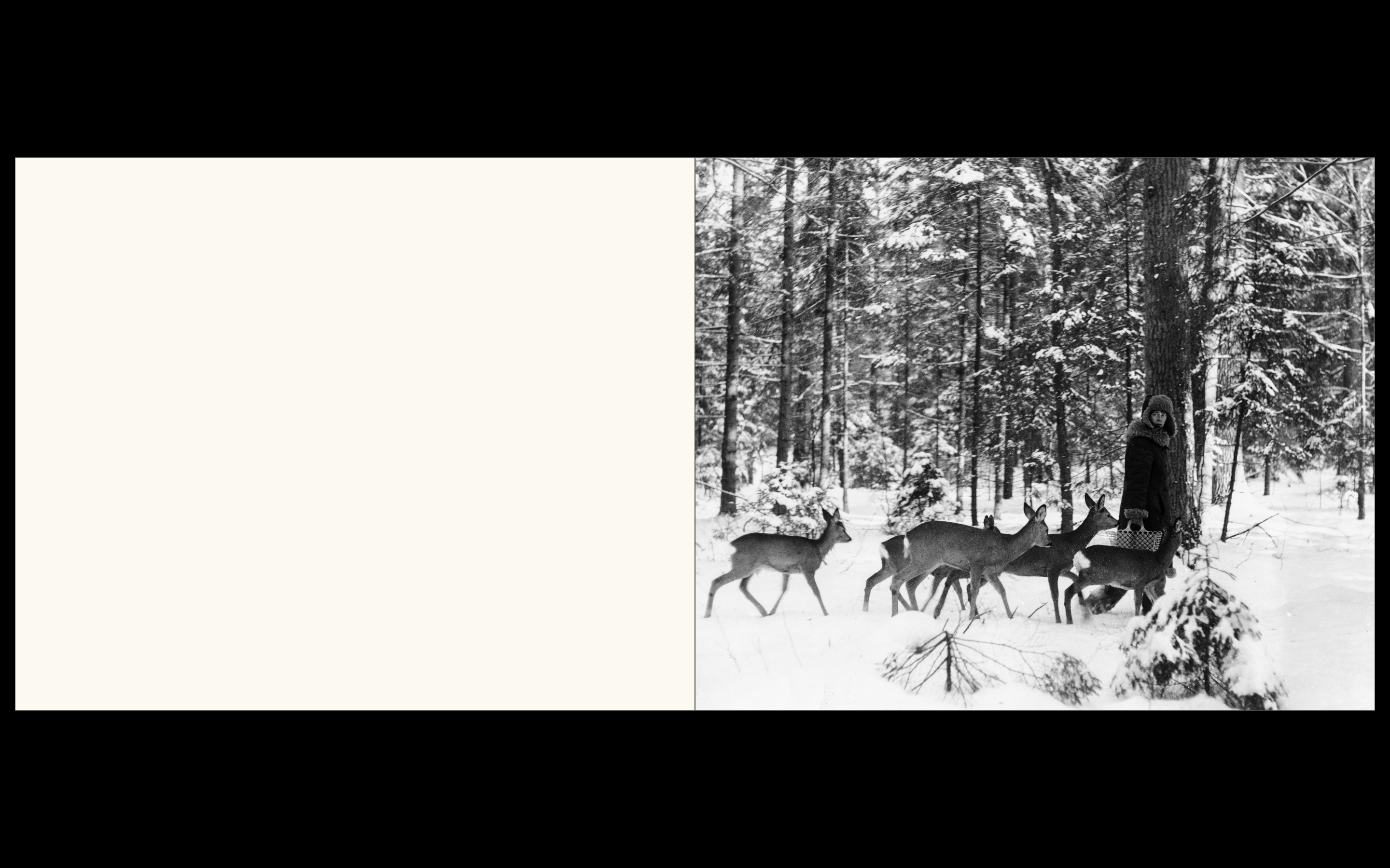 Białowieża, la forêt vivante de Simona Kossak & Lech Wilczek