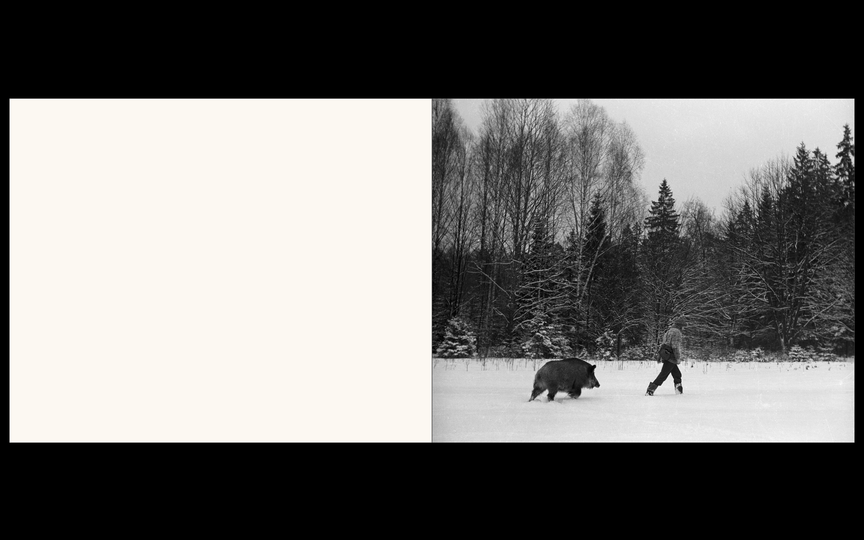 Białowieża, la forêt vivante de Simona Kossak & Lech Wilczek
