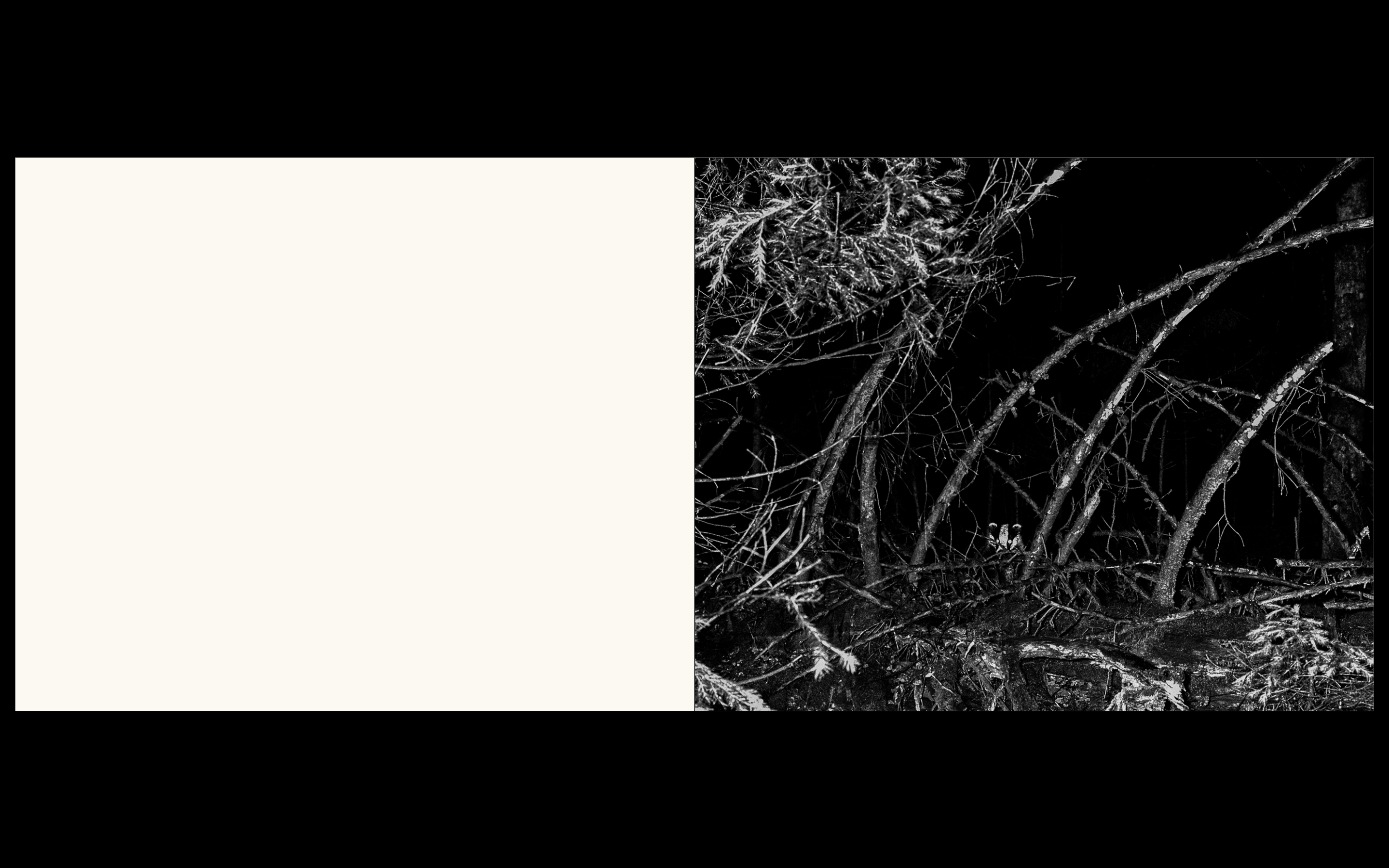 Białowieża, la forêt vivante de Simona Kossak & Lech Wilczek