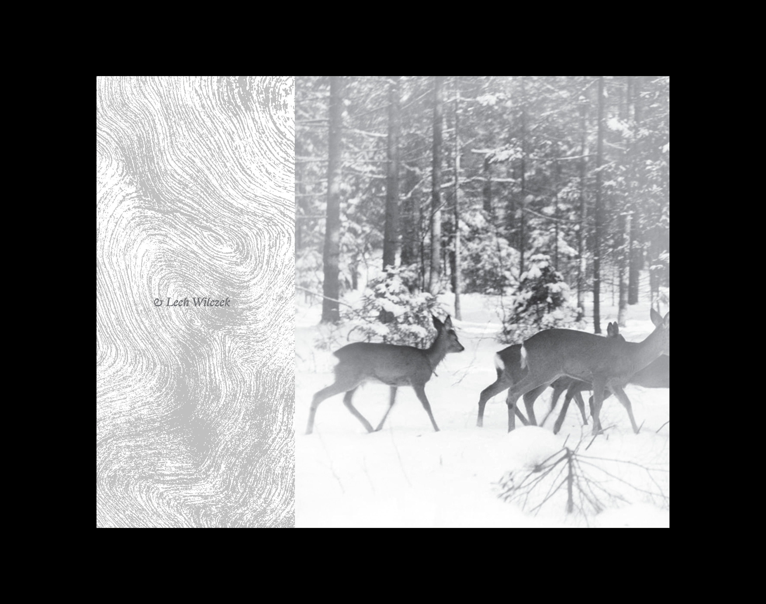Białowieża, la forêt vivante de Simona Kossak & Lech Wilczek