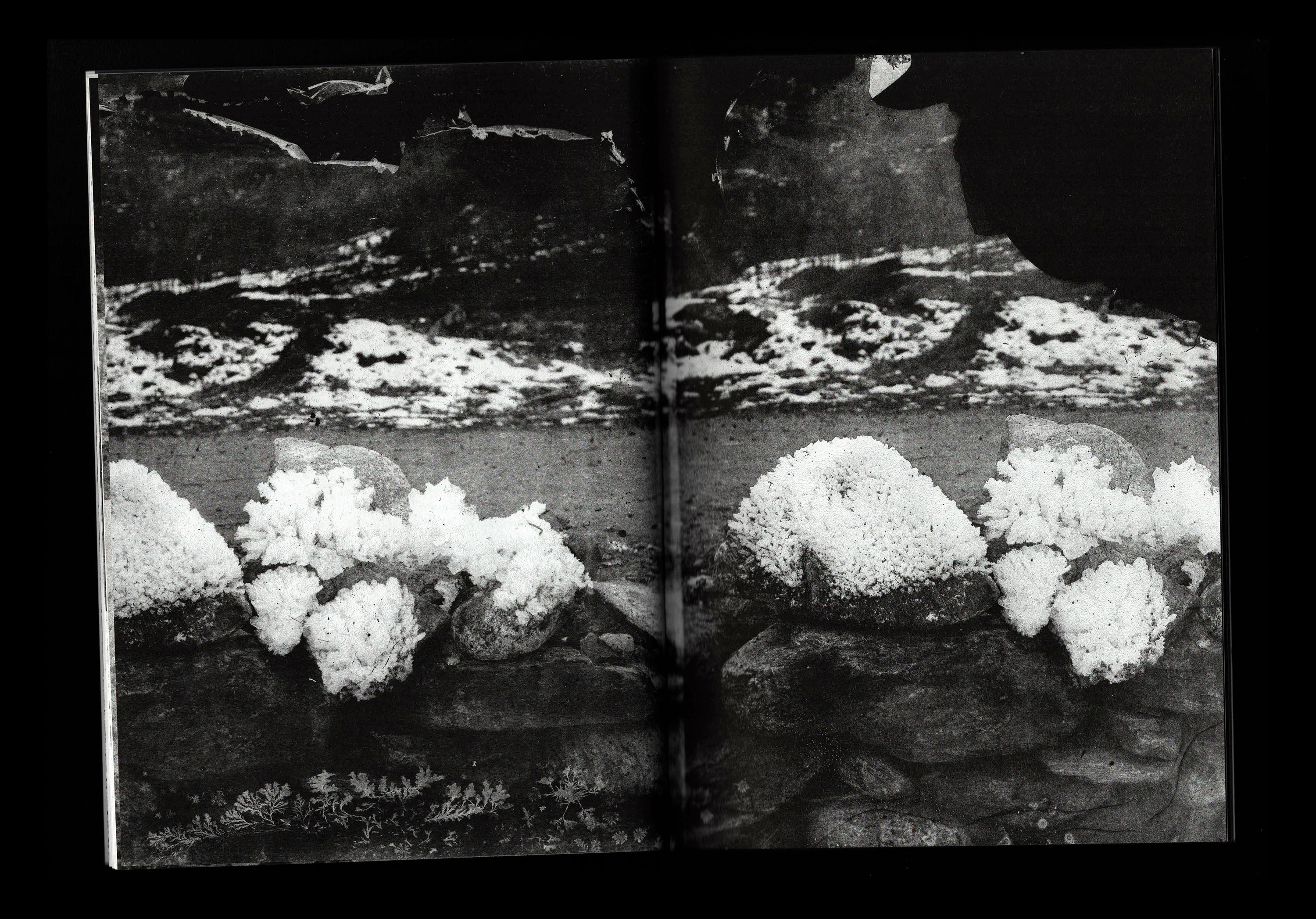 Chambre noire, Archive blanche