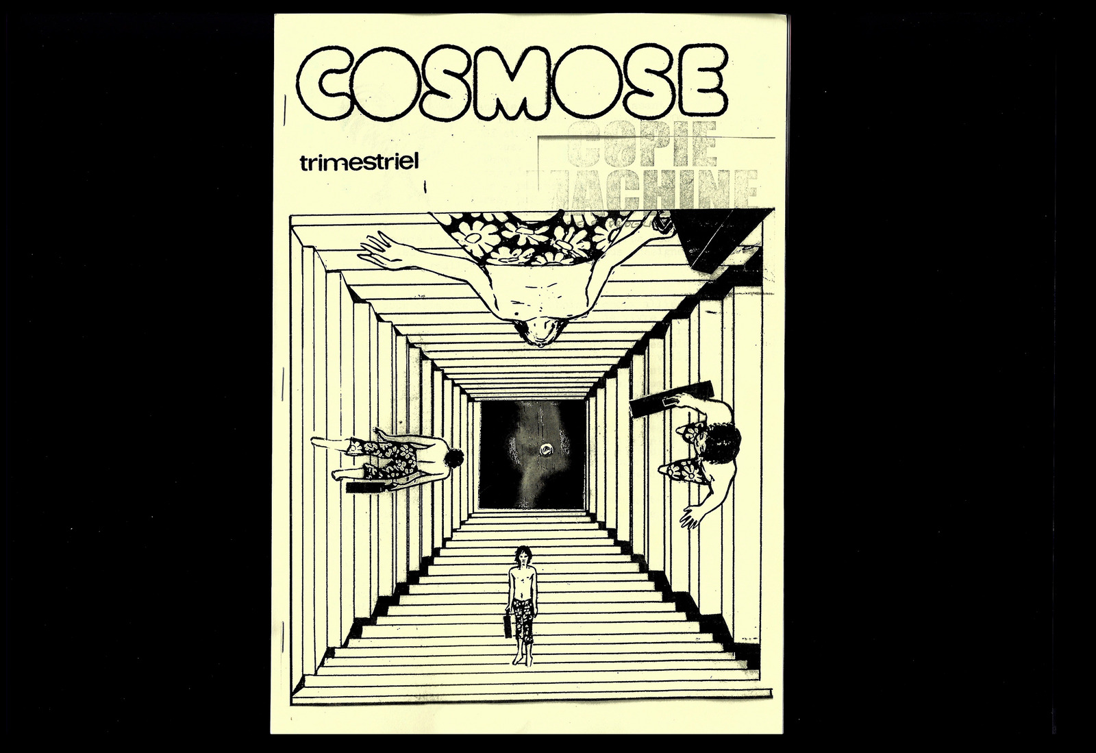 COSMOSE