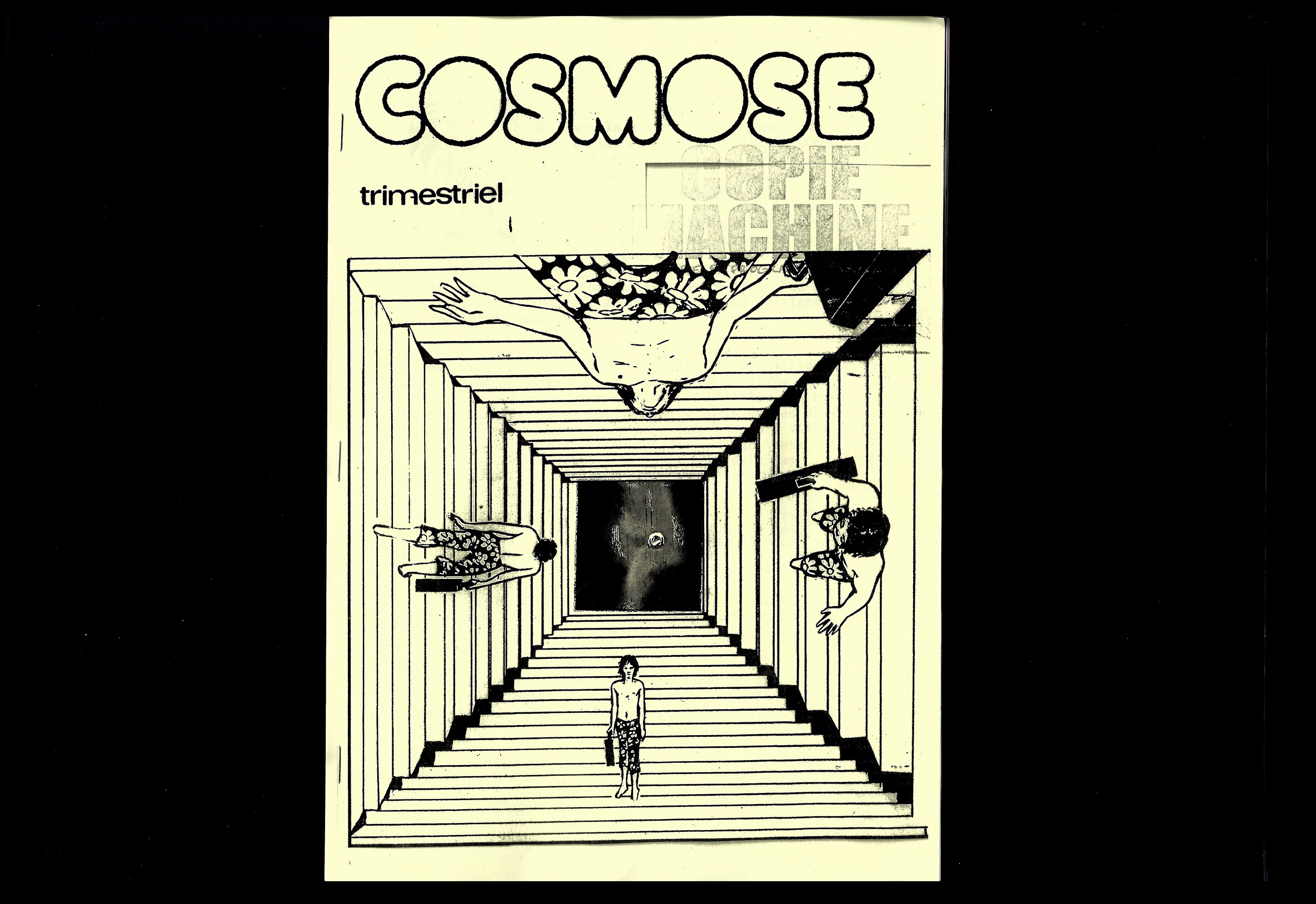 COSMOSE
