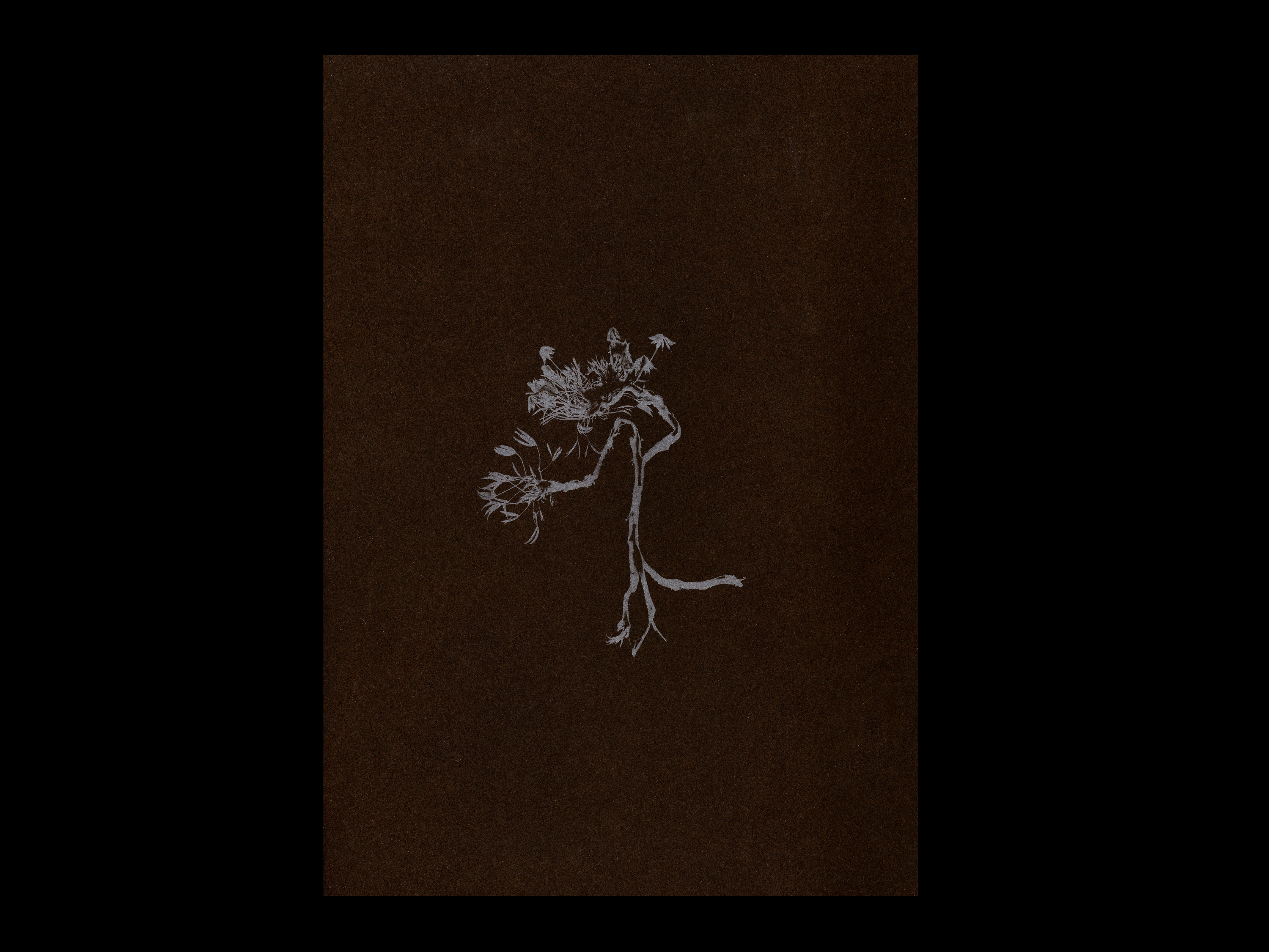 L’Herbe aux yeux bleus