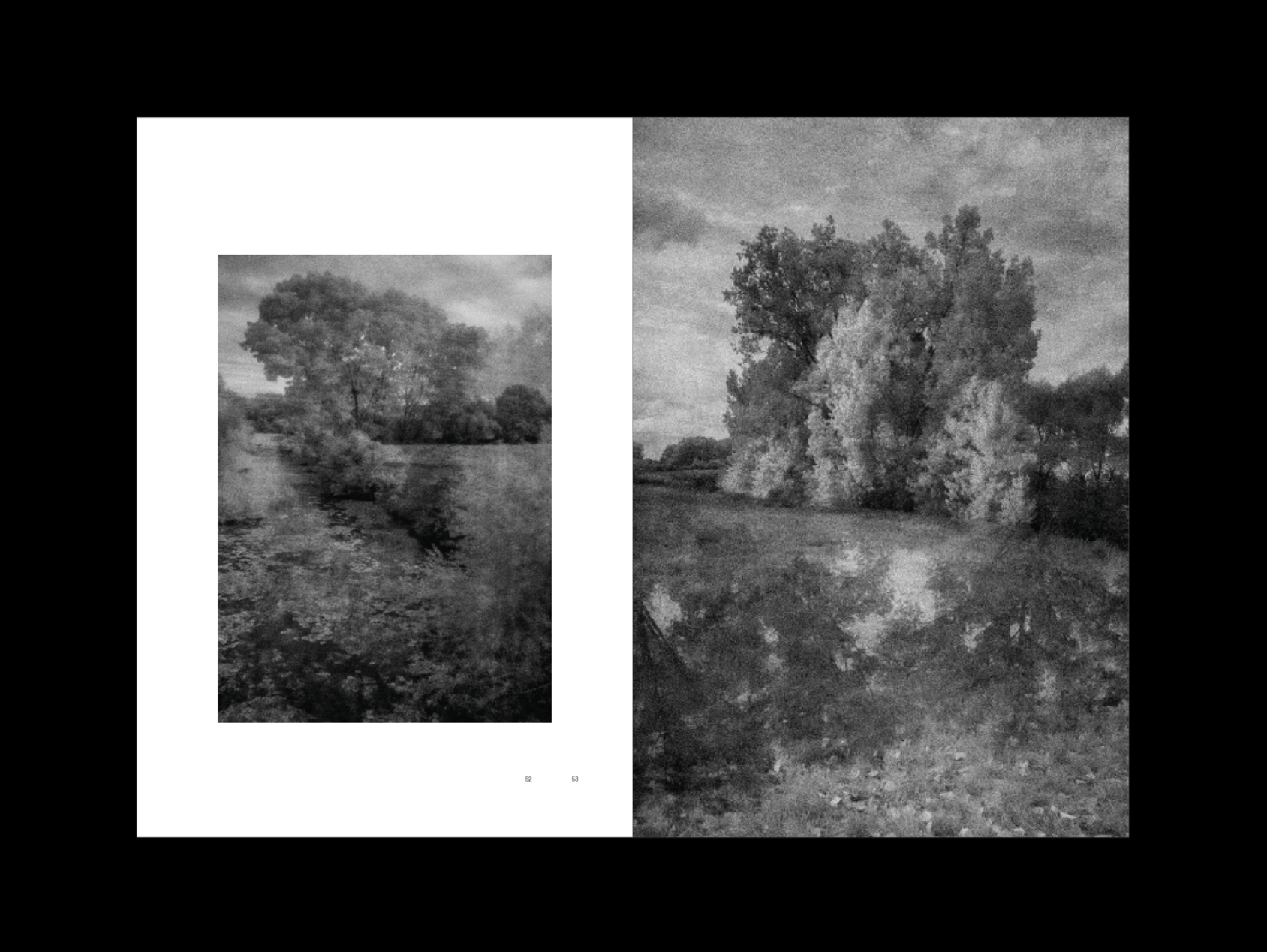 L’Herbe aux yeux bleus